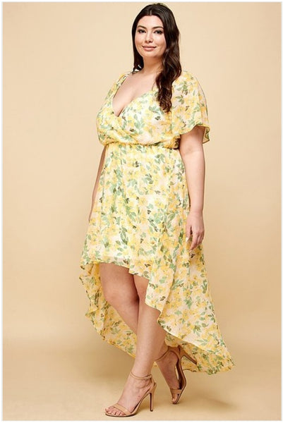 Hi Lo Chiffon Short Sleeve