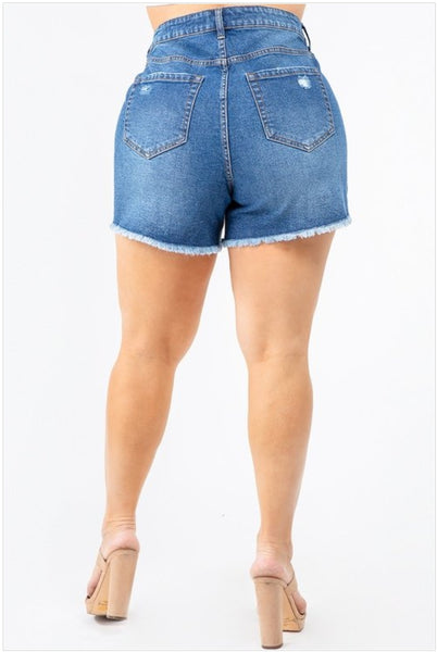 Curvy Shorts